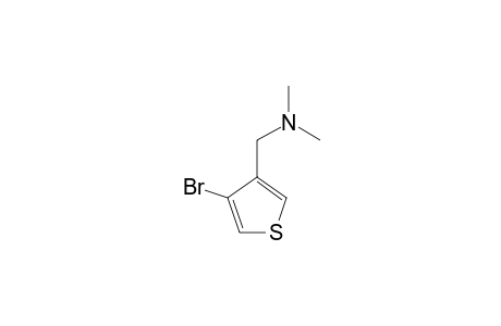 3-BROMO-4-[(DIMETHYLAMINO)-METHYL]-THIOPHENE