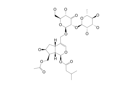 10-O-ACETYLPATRIONOSIDE-AGLYCONE-11-O-[ALPHA-L-RHAMNOPYRANOSYL-(1->2)-BETA-D-RIBOHEXO-3-ULOPYRANOSIDE]