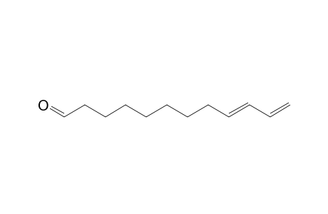 9,11-Dodecadienal, (E)-