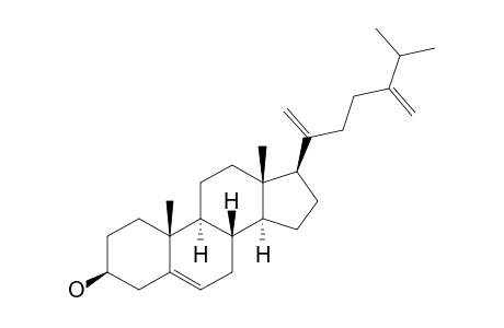 24-XI-METHYLCHOLESTA-5,20,24(24(1))-TRIEN-3-BETA-OL