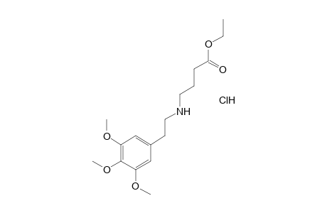 4-[(3,4,5-TRIMETHOXYPHENETHYL)AMINO]BUTYRIC ACID, ETHYL ESTER, HYDROCHLORIDE