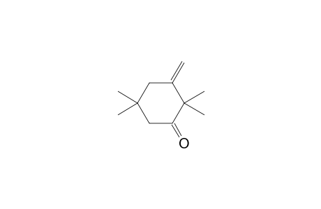 Cyclohexanone, 2,2,5,5-tetramethyl-3-methylene-