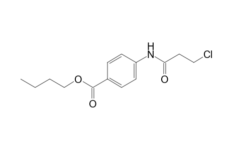 p-(3-chloropropionamido)benzoic acid, butyl ester