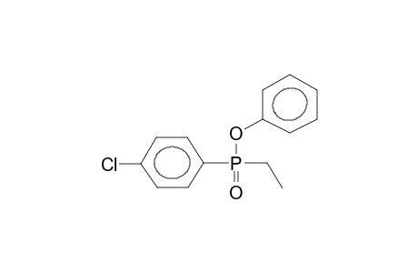 PHENYL ETHYL(PARA-CHLOROPHENYL)PHOSPHINATE