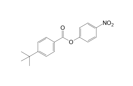 p-tert-butylbenzoic acid, p-nitrophenyl ester