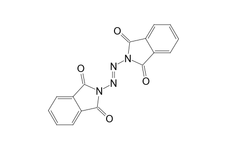 Phthalimide, N,N'-azodi-