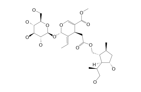 #1;NUDIFLOSIDE-D;5-ETHYLIDENE-4-[3-HYDROXY-2-(2-HYDROXY-1-METHYL-ETHYL)-5-METHYL-CYCLOPENTYLMETHOXYCARBONYLMETHYL]-6-(3,4,5-TRIHYDROXY-6-HYDROXYMETHYL-TETRAHYD