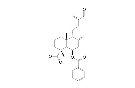 SCOPARIC-ACID-C;6-BENZOYL-15-NOR-14-OXO-8(17)-LABDAN-18-OIC-ACID