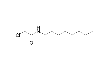 2-chloro-N-octylacetamide