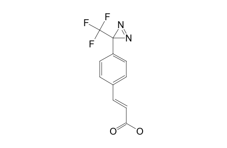 3-[4-[3-(TRIFLUOROMETHYL)-3H-DIAZIRIN-3-YL]-PHENYL]-ACRYLIC-ACID