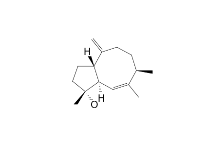 3,4,11-TRIMETHYL-7-METHYLENEBICYCLO-[6.3.0]-UNDEC-2-EN-11-ALPHA-OL