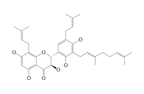 Sanggenol E