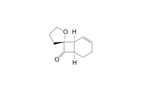 EXO-SPIRO-[BICYCLO-[4.2.0]-OCT-2-ENE-8,1'-2'-OXACYCLOPENTANE]-7-ONE