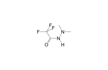 (E)-1-TRIFLUOROACETYL-2,2-DIMETHYLHYDRAZINE