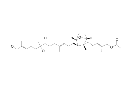 CONCENTRICOL-D