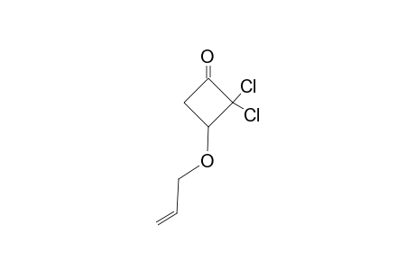 2,2-Dichloro-3-(2'-propenoxy)cyclobutanone