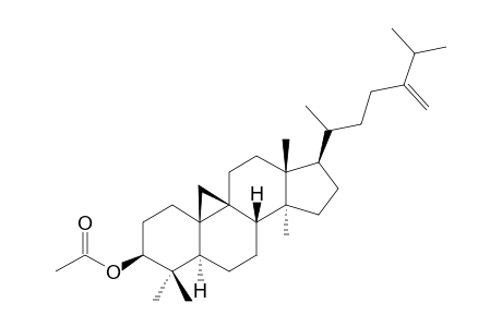 24-METHYLENECYCLOARTANYL-ACETATE