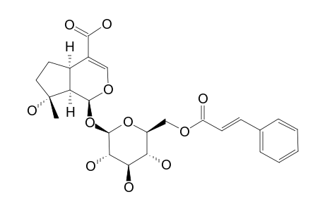 6'-O-CINNAMOYLMUSSAENOSIDIC_ACID