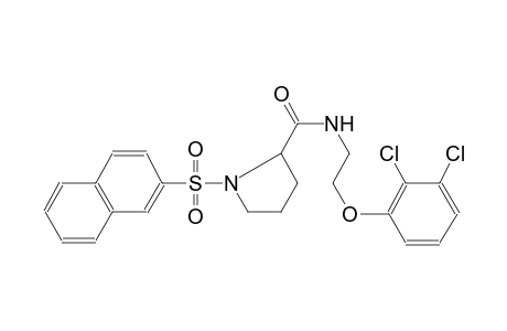 2-pyrrolidinecarboxamide, N-[2-(2,3-dichlorophenoxy)ethyl]-1-(2-naphthalenylsulfonyl)-