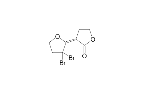 (3E)-3-(3,3-dibromo-2-oxolanylidene)-2-oxolanone