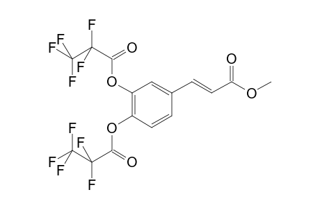 Caffeic acid ME2PFP                 @