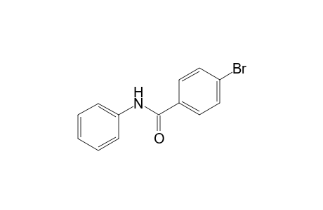 4-Bromanyl-N-phenyl-benzamide