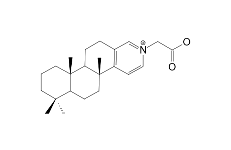 SPONGIDINE-A