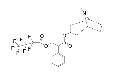 Atropine HFB                  @