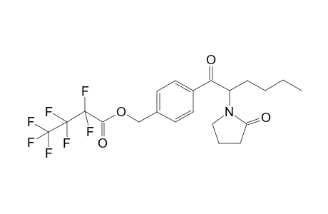 MPHP-M (oxo-HO-tolyl-) HFB