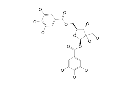 1,5-DI-O-GALLOYL-BETA-D-HAMAMELOFURANOSE