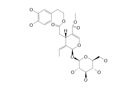 OLEUROPEIN