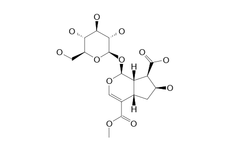 7-BETA-HYDROXY-11-METHYLFORSYTHIDE