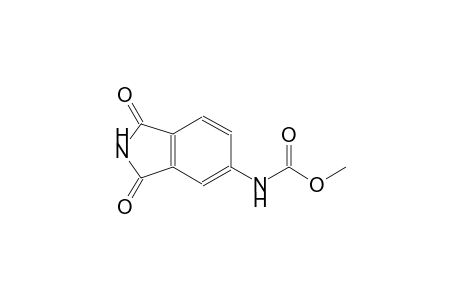 (1,3-Dioxo-2,3-dihydro-1H-isoindol-5-yl)carbamic acid, methyl ester