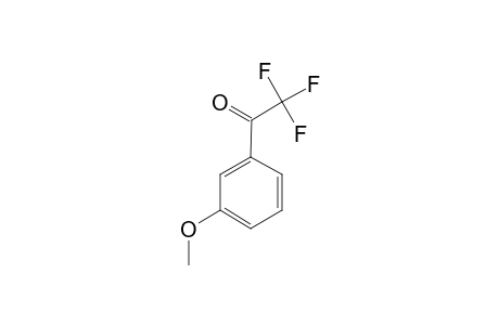 TRIFLUOROMETHYL-(3-METHOXYPHENYL)-KETONE;2,2,2-TRIFLUORO-1-(3-METHOXYPHENYL)-ETHANONE