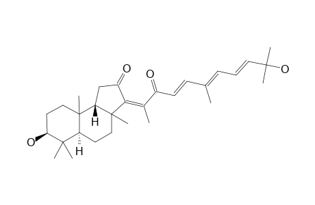 GLOBOSTELLETIN