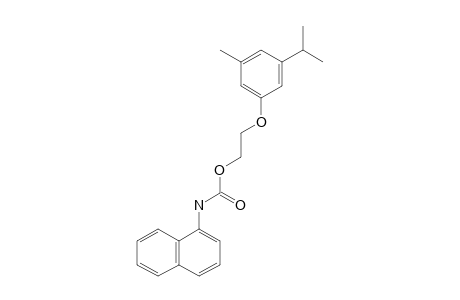 1-NAPHTHALENECARBAMIC ACID, 2-//M- CYM-5-YL/OXY/ETHYL ESTER