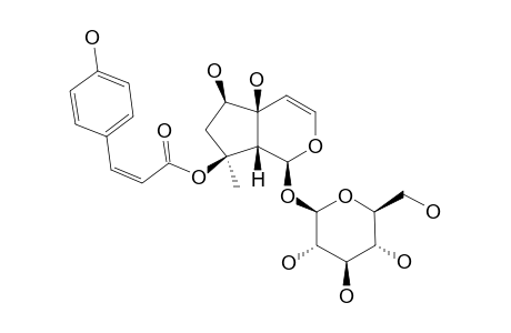 8-O-(CIS-PARA-COUMAROYL)-HARPAGIDE