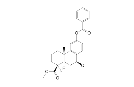 METHYL-12-BENZOYLOXY-7-BETA-HYDROXY-PODOCARPA-8,11,13-TRIEN-19-OATE