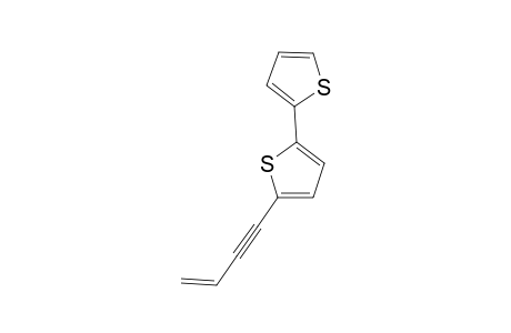 5-(3-BUTEN-1-YNYL)-2,2'-BITHIOPHENE