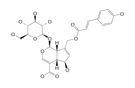 10-O-TRANS-PARA-COUMAROYLSCANDOSIDE