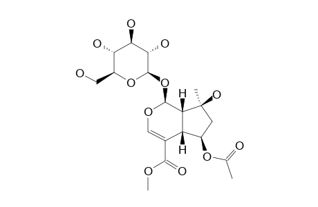 6-O-ACETYL-SHANZHISIDE_METHYLESTER