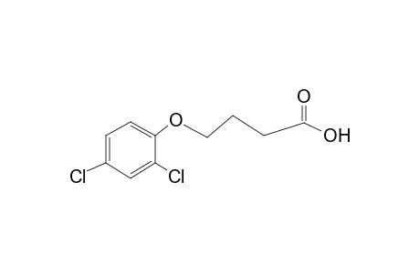 4-(2,4-Dichlorophenoxy)butyric acid