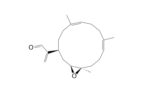 PSEUDOPLEXAURAL