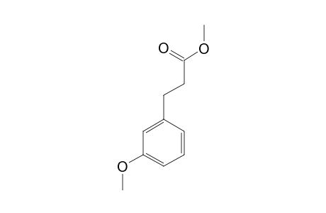 METHYL-3-(META-METHOXY-PHENYL)-PROPANOATE