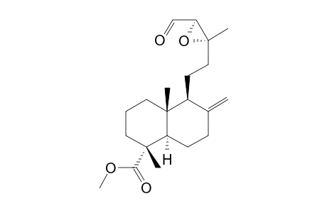 METHYL-13-XI,14-XI-EPOXY-15-OXO-LABDEN-19-OATE;DIASTEREOMER-#4