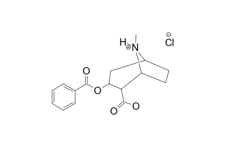 O-BENZOYL-ECGONINE-HYDROCHLORIDE