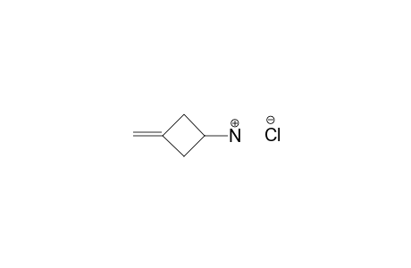 3-METHYLENE-CYCLOBUTYLAMINE-HYDROCHLORIDE