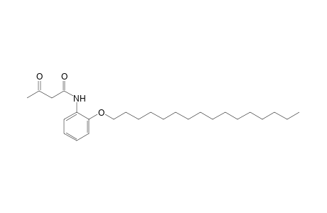 2'-(hexadecyloxy)acetoacetanilide