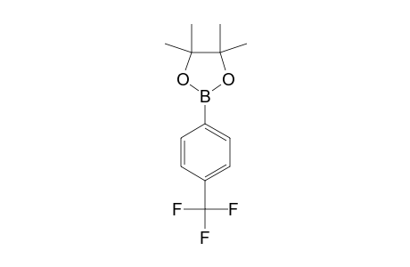 4-(4,4,5,5-TETRAMETHYL-1,3,2-DIOXABOROLANE-2-YL)-BENZOTRIFLUORIDE