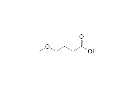 4-methoxybutyric acid